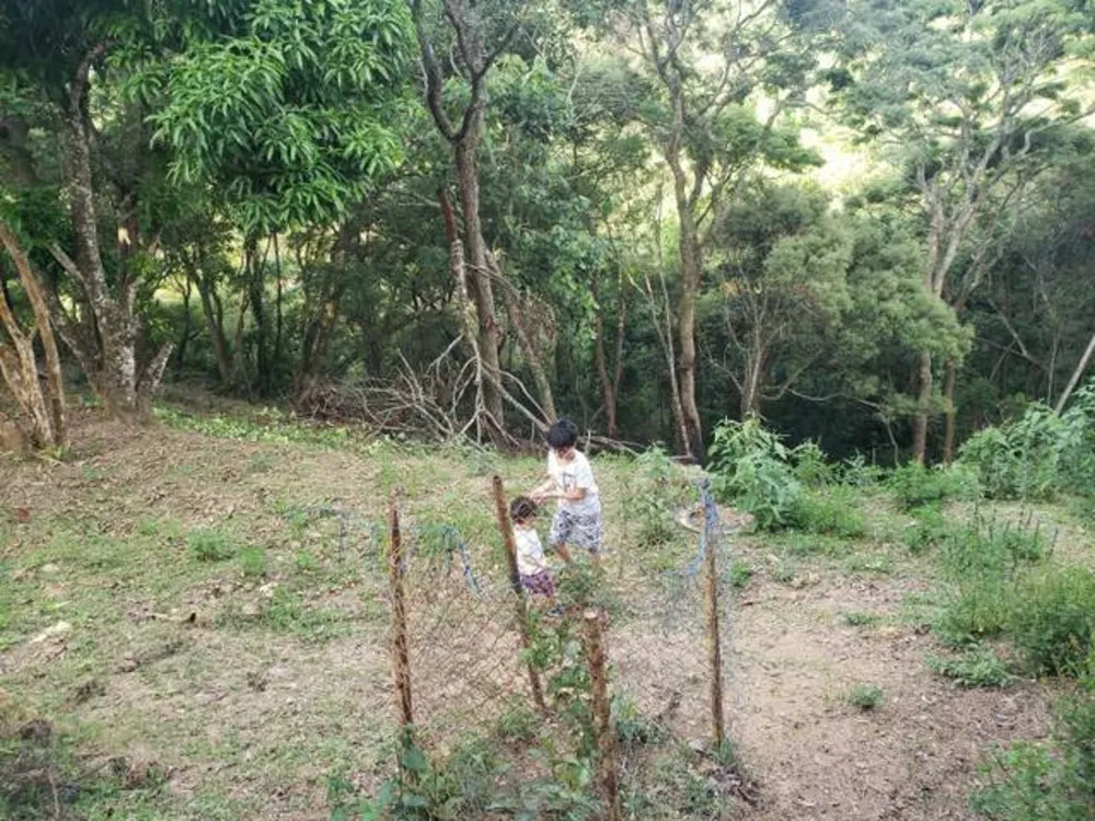 Terreno, 6000 m² - Foto 9