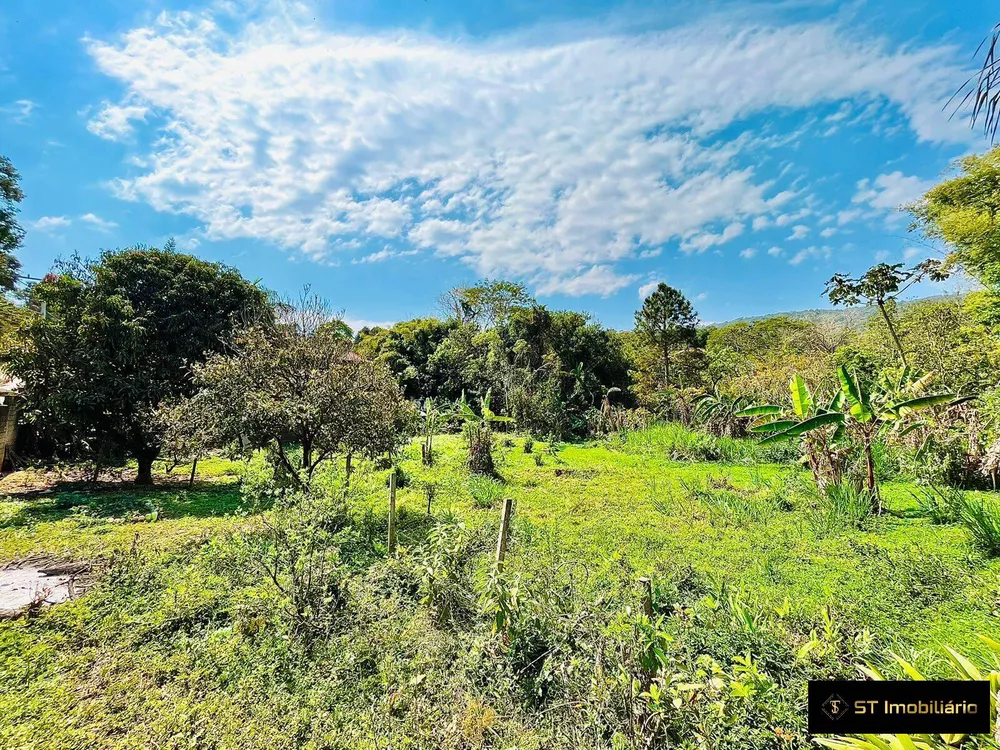 Fazenda à venda com 4 quartos, 280m² - Foto 7