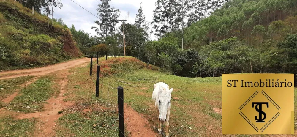 Sítio, 3 quartos, 4 hectares - Foto 11