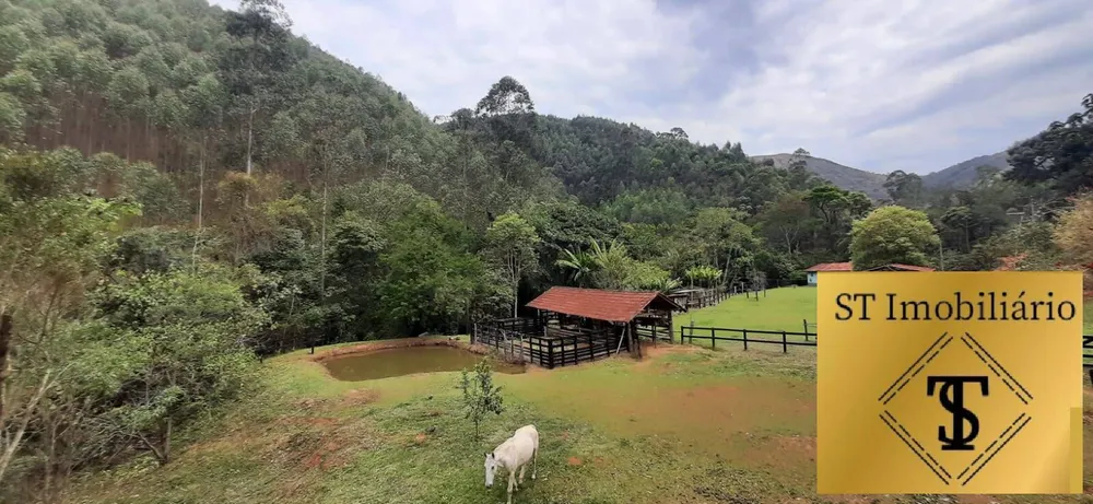Sítio, 3 quartos, 4 hectares - Foto 7