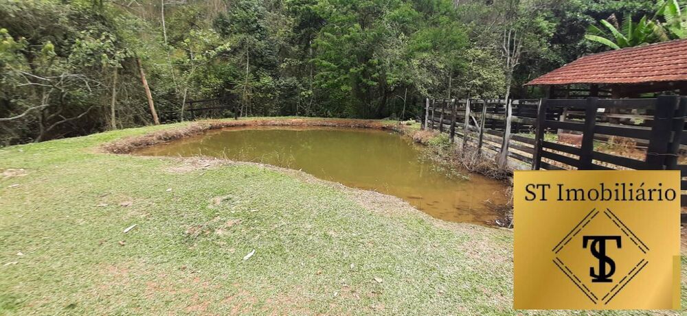 Sítio, 3 quartos, 4 hectares - Foto 2