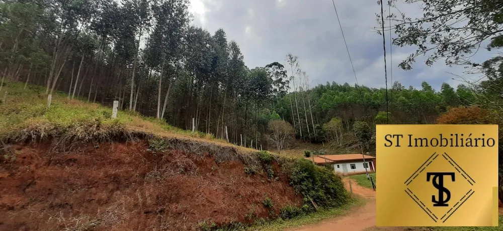 Sítio, 3 quartos, 4 hectares - Foto 10
