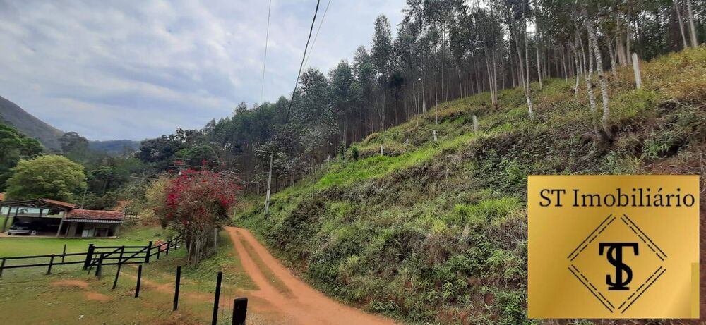 Sítio, 3 quartos, 4 hectares - Foto 1