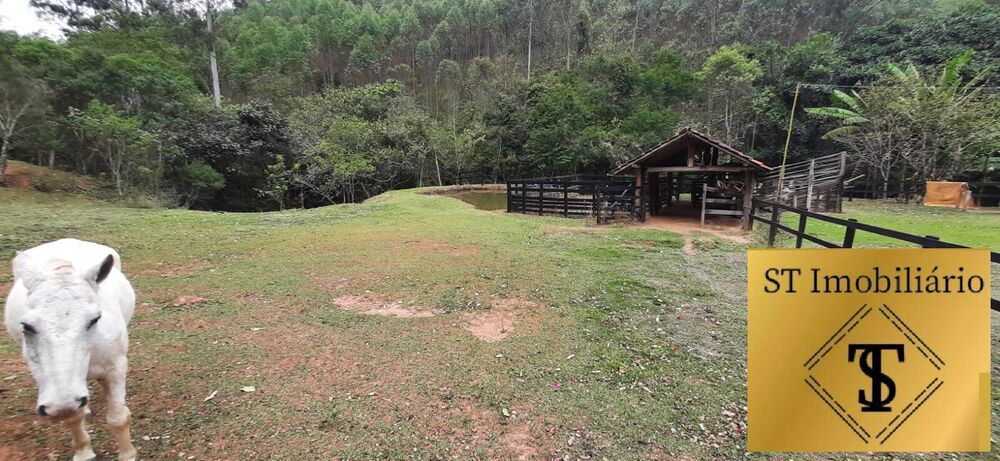 Sítio, 3 quartos, 4 hectares - Foto 4