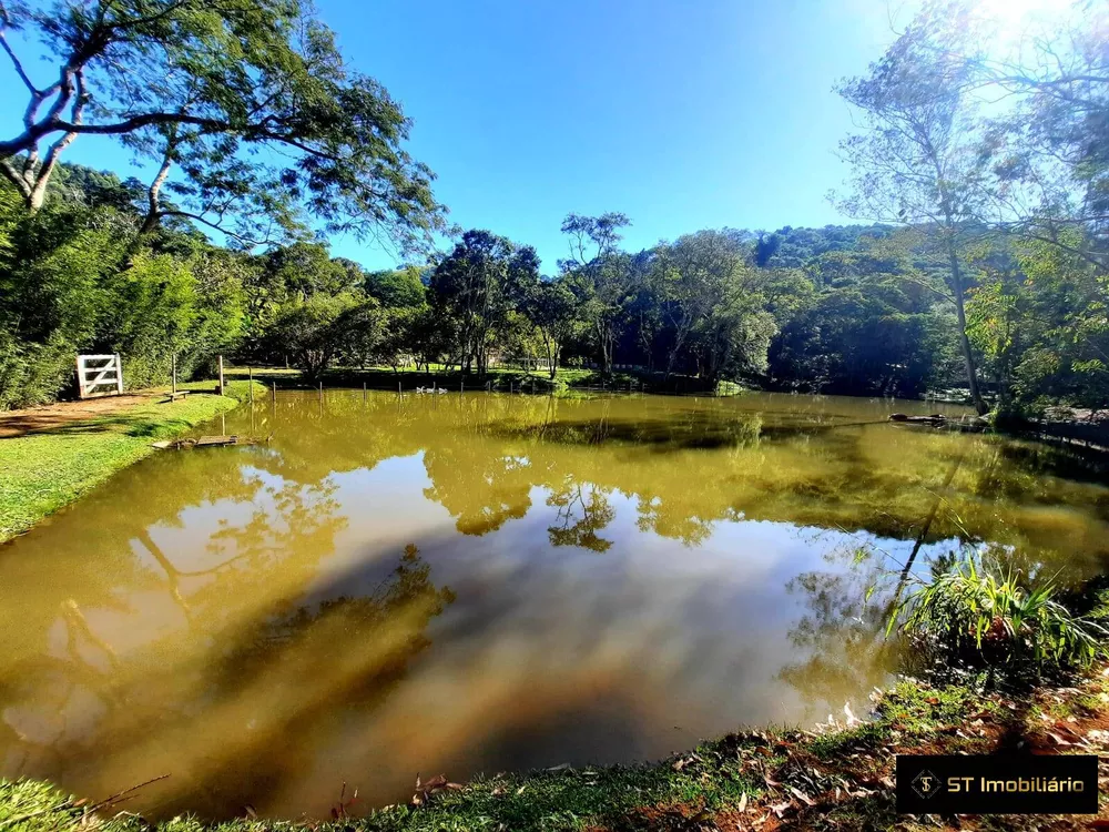 Fazenda à venda com 4 quartos, 400m² - Foto 4