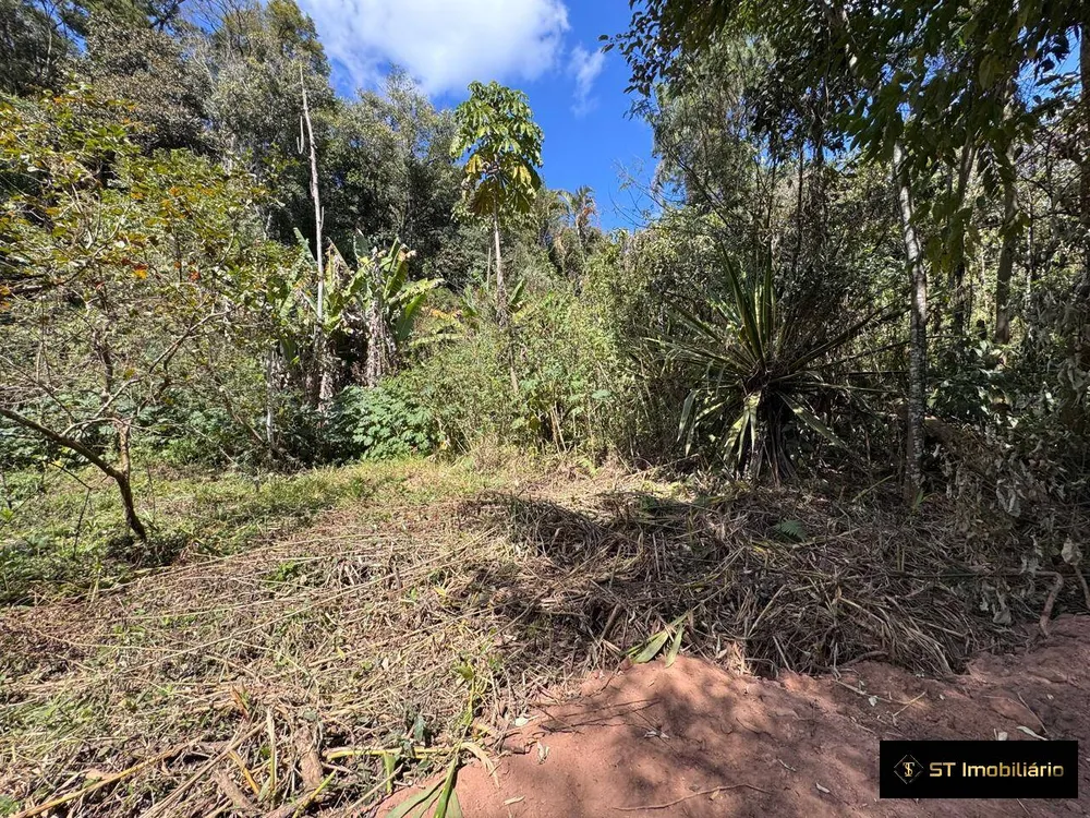 Terreno, 1750 m² - Foto 4