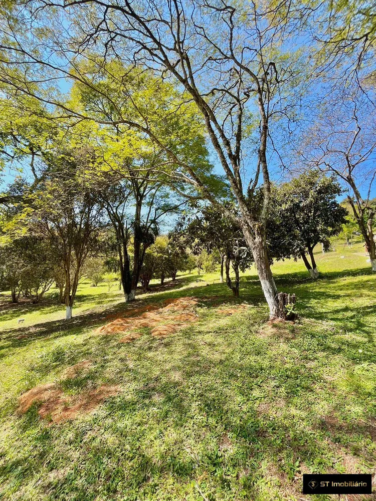 Sítio, 7 quartos, 4 hectares - Foto 12