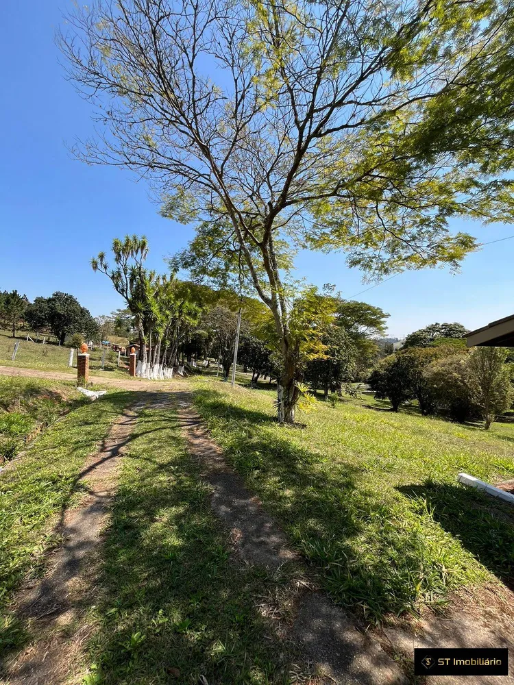 Sítio, 7 quartos, 4 hectares - Foto 13