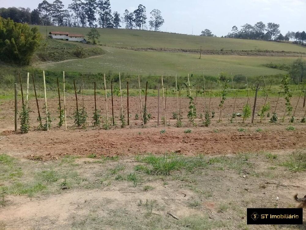 Sítio, 5 quartos, 20 hectares - Foto 1