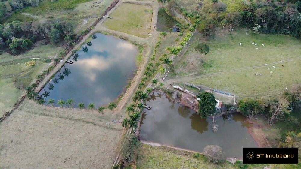 Terreno, 5000 m² - Foto 4