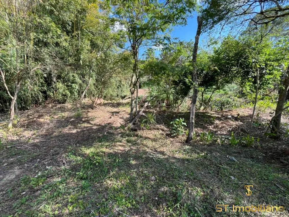 Terreno, 6 hectares - Foto 11