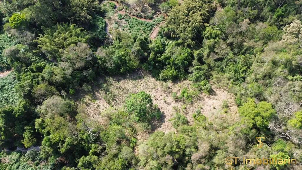 Terreno, 6 hectares - Foto 4