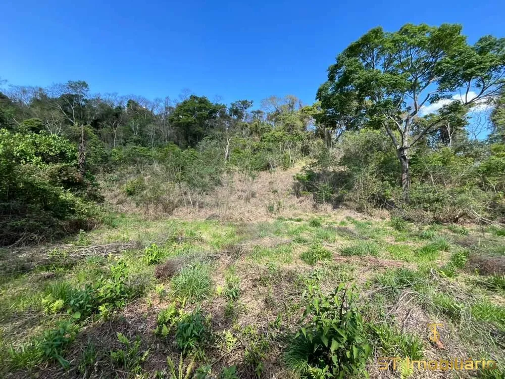 Terreno, 6 hectares - Foto 12
