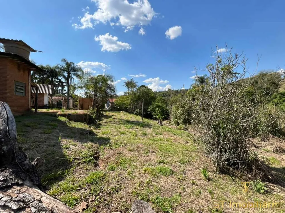 Terreno, 6 hectares - Foto 3
