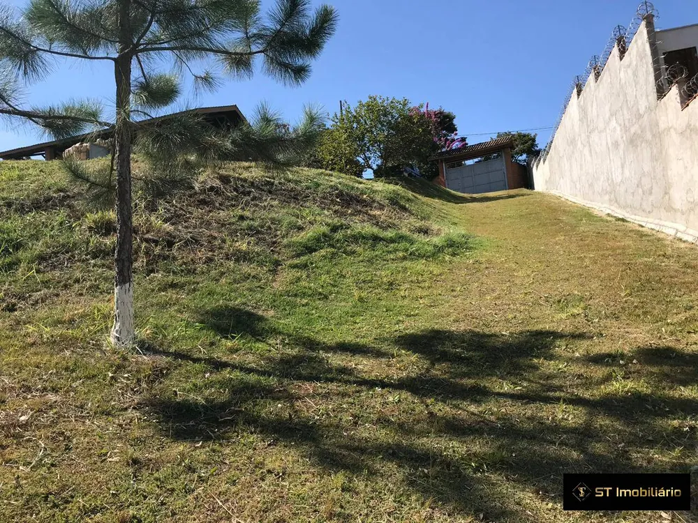 Sítio, 3 quartos, 3115 m² - Foto 8