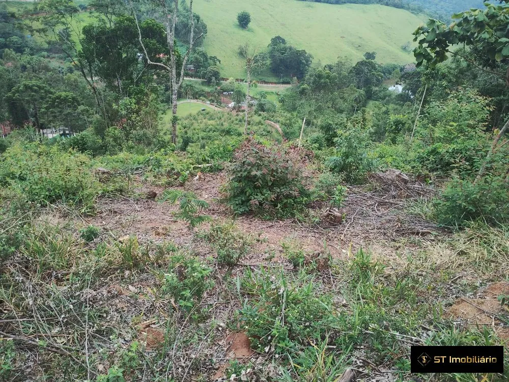 Sítio, 7 quartos, 9 hectares - Foto 13