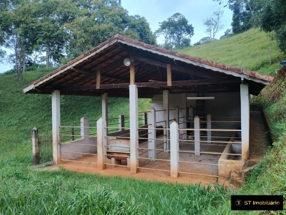 Sítio, 7 quartos, 9 hectares - Foto 7