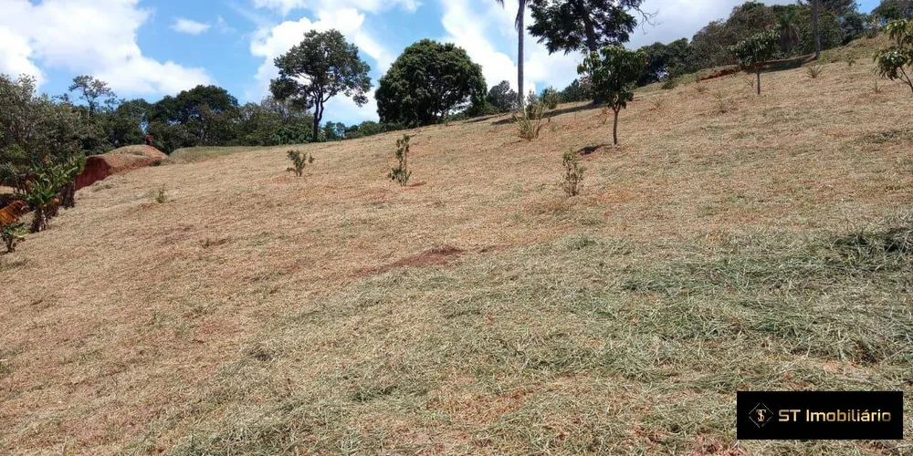 Terreno, 7800 m² - Foto 6