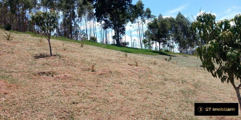 Terreno para alugar, 7800m² - Foto 4