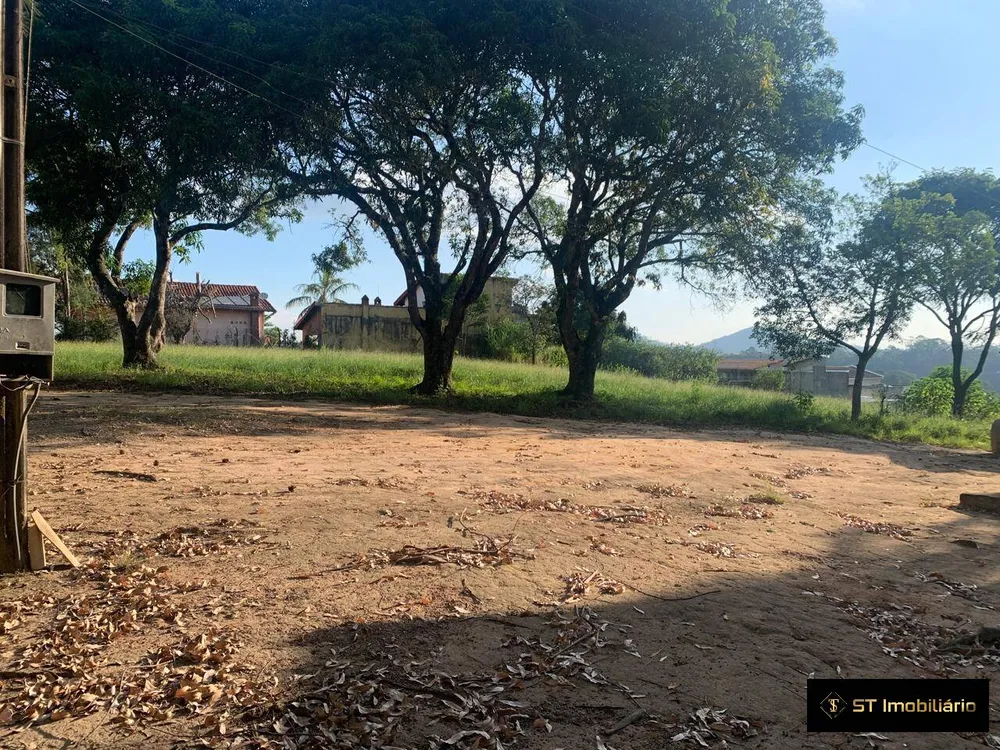 Terreno, 4 hectares - Foto 3