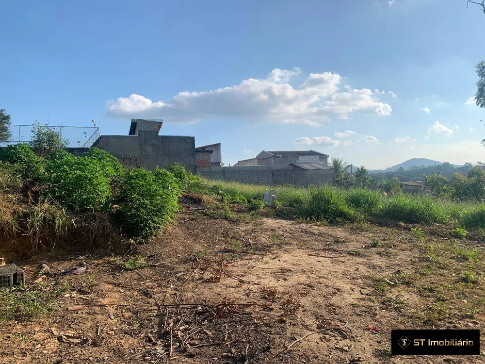 Terreno, 4 hectares - Foto 14