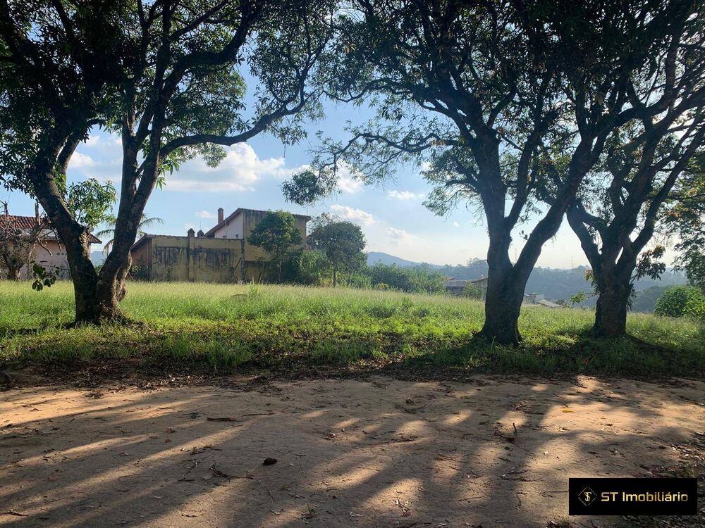 Terreno, 4 hectares - Foto 3
