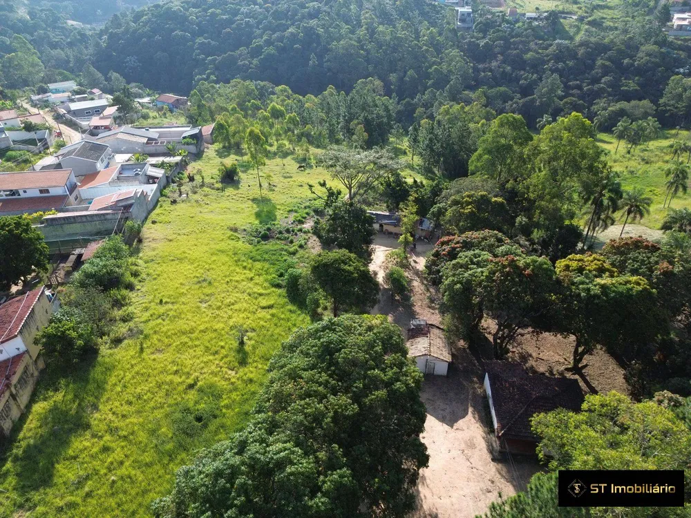 Terreno, 4 hectares - Foto 8