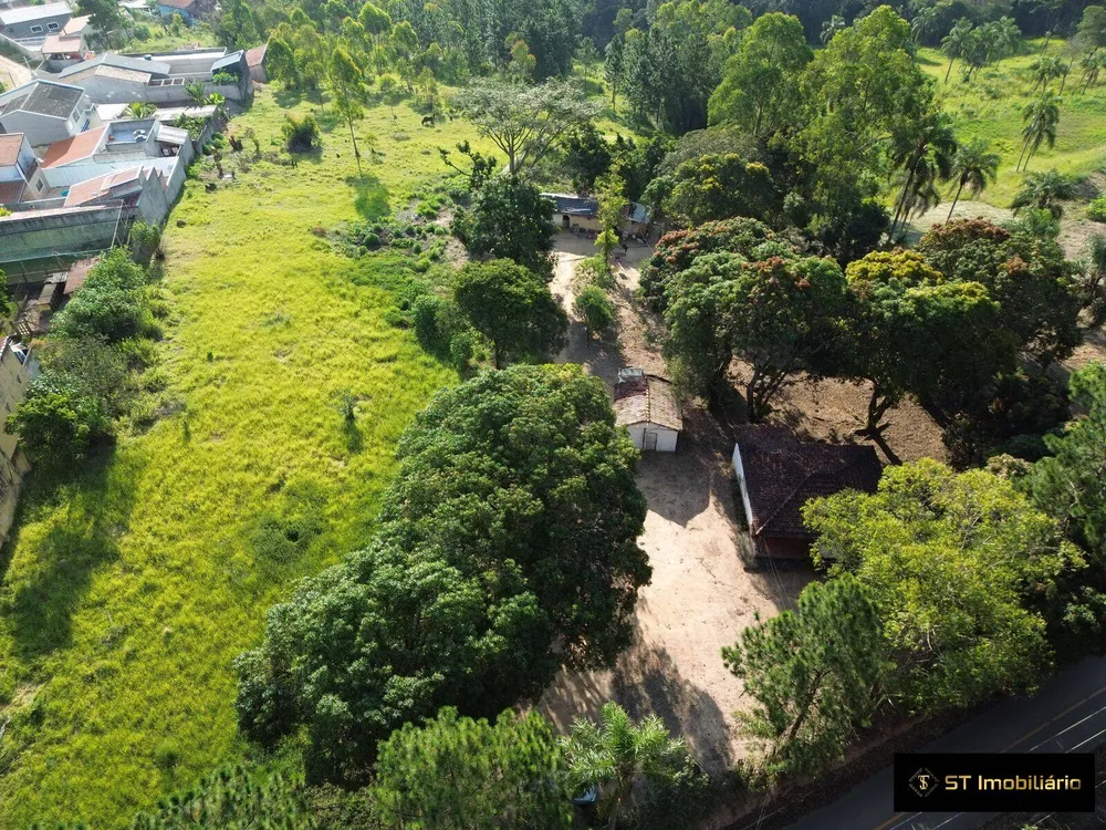 Terreno, 4 hectares - Foto 7
