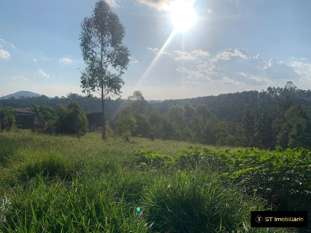 Terreno, 4 hectares - Foto 11