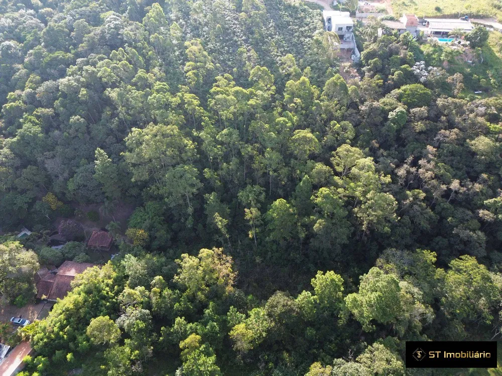 Terreno, 4 hectares - Foto 12