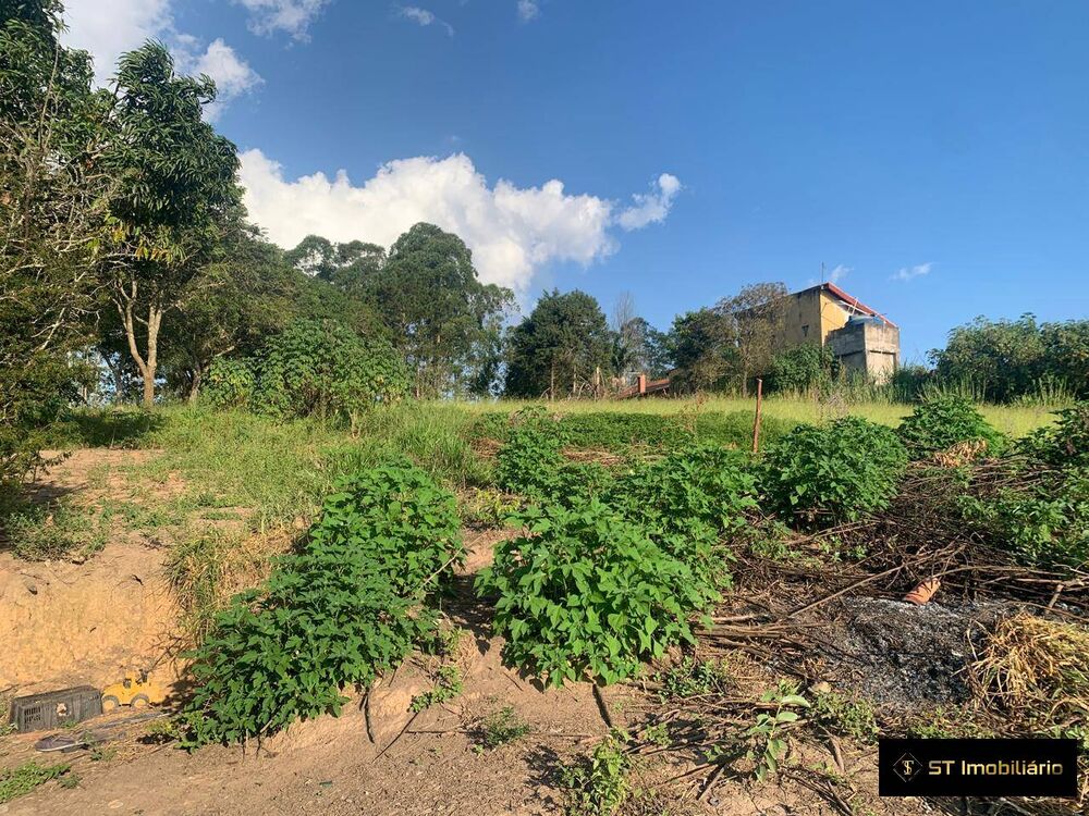 Terreno, 4 hectares - Foto 4
