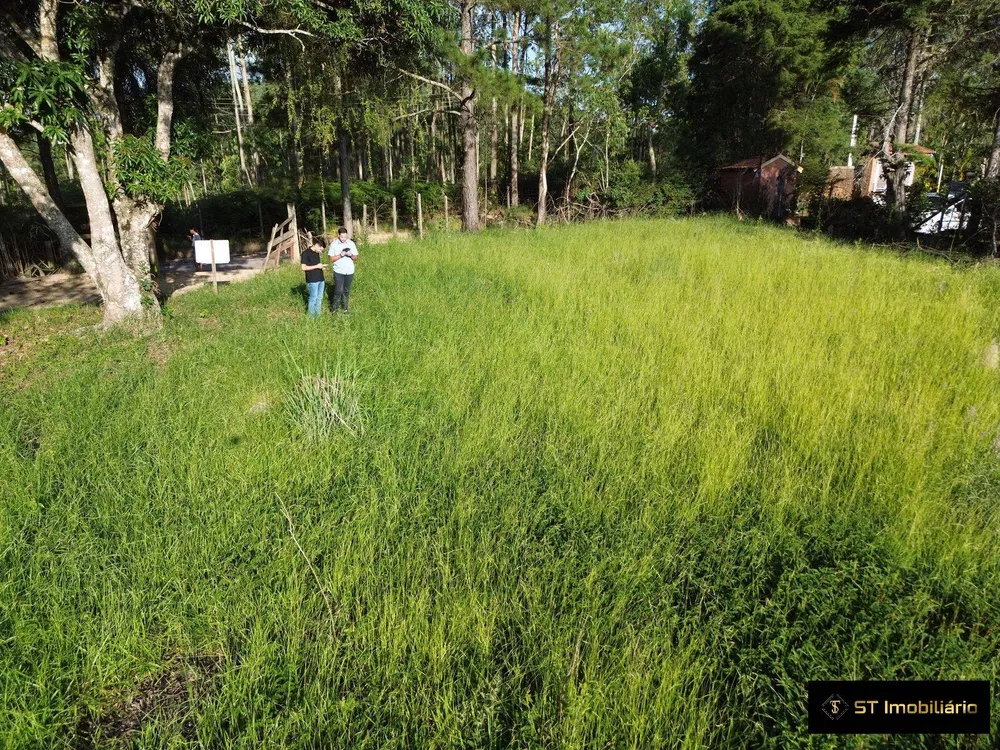 Terreno, 4 hectares - Foto 4