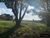 Terreno, 4 hectares - Foto 2