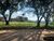 Terreno, 4 hectares - Foto 1