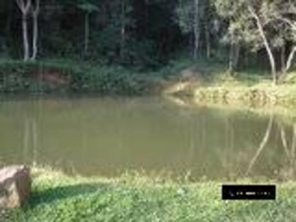 Sítio, 2 quartos, 8 hectares - Foto 16