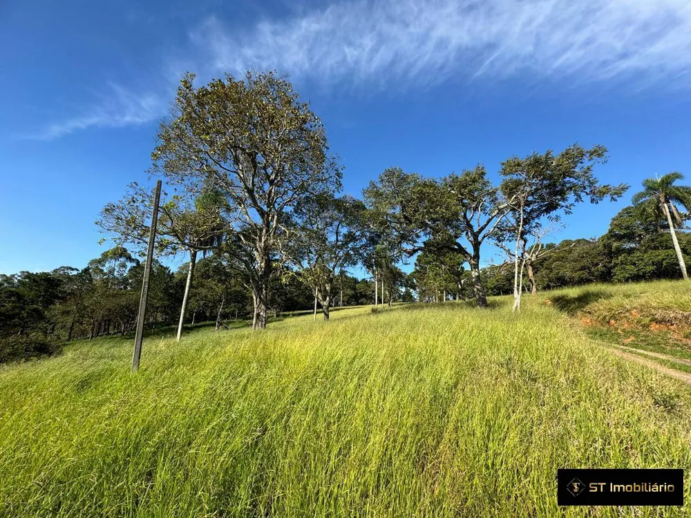 Terreno, 5 hectares - Foto 11