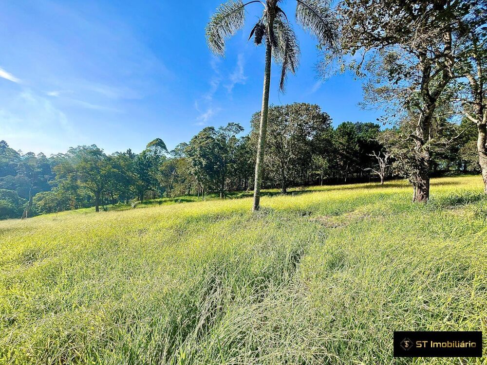 Terreno, 5 hectares - Foto 3