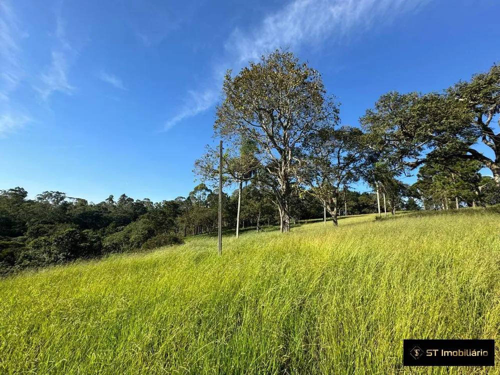 Terreno, 5 hectares - Foto 13