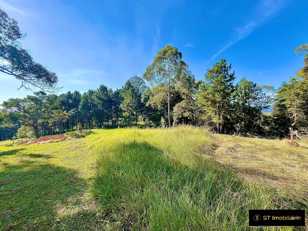 Terreno, 5 hectares - Foto 9