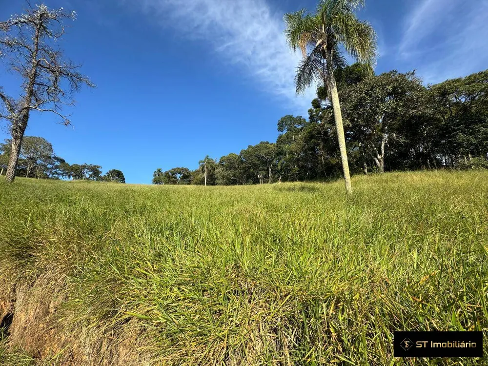 Terreno, 5 hectares - Foto 7