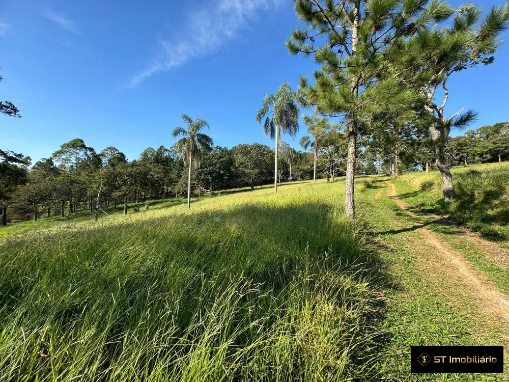 Terreno, 5 hectares - Foto 12