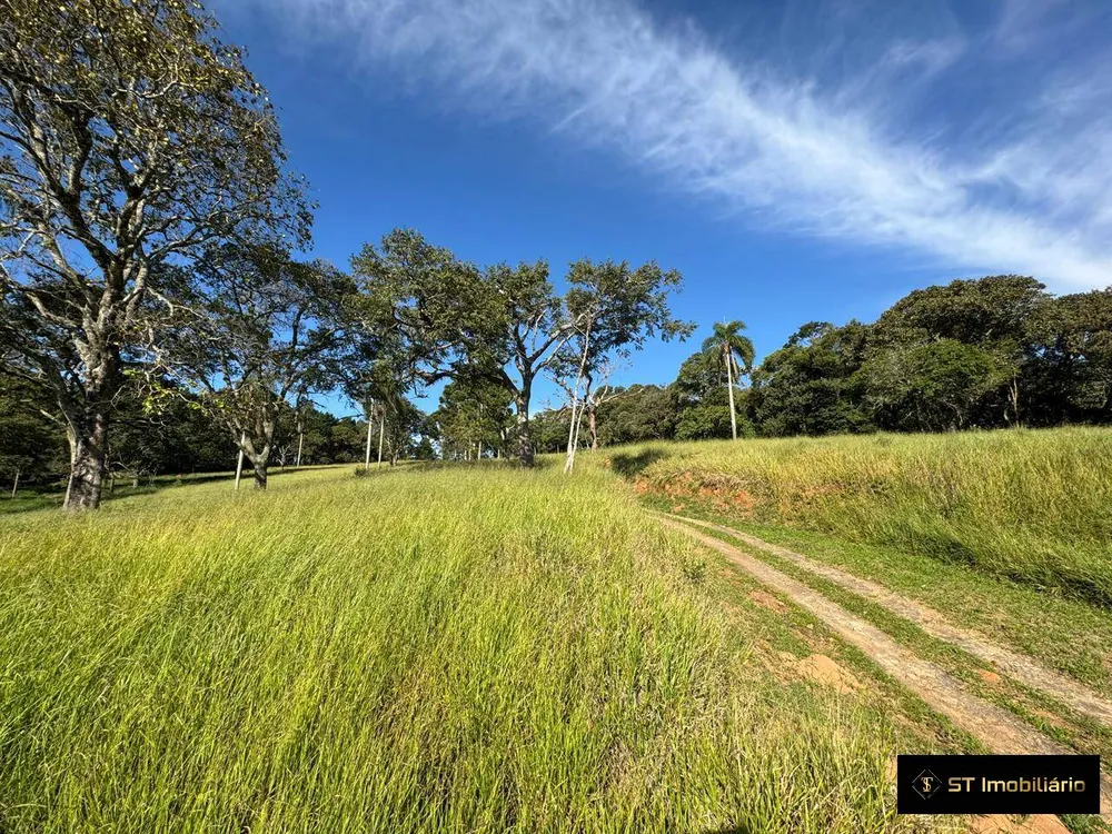 Terreno, 5 hectares - Foto 4