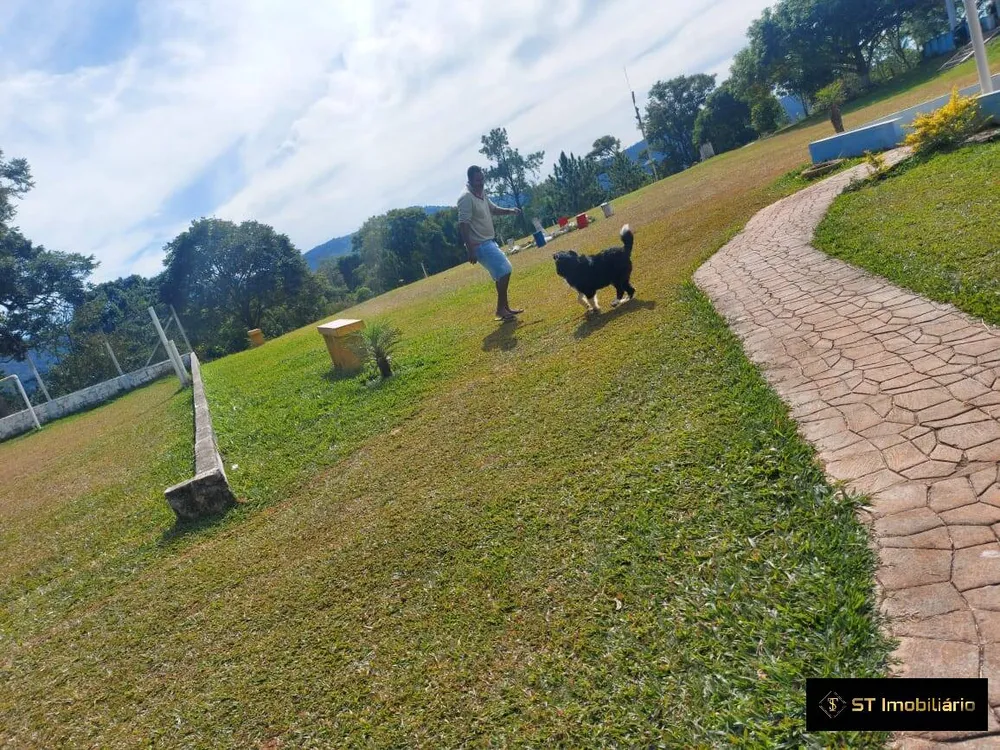 Chácara, 5 quartos, 4 hectares - Foto 15