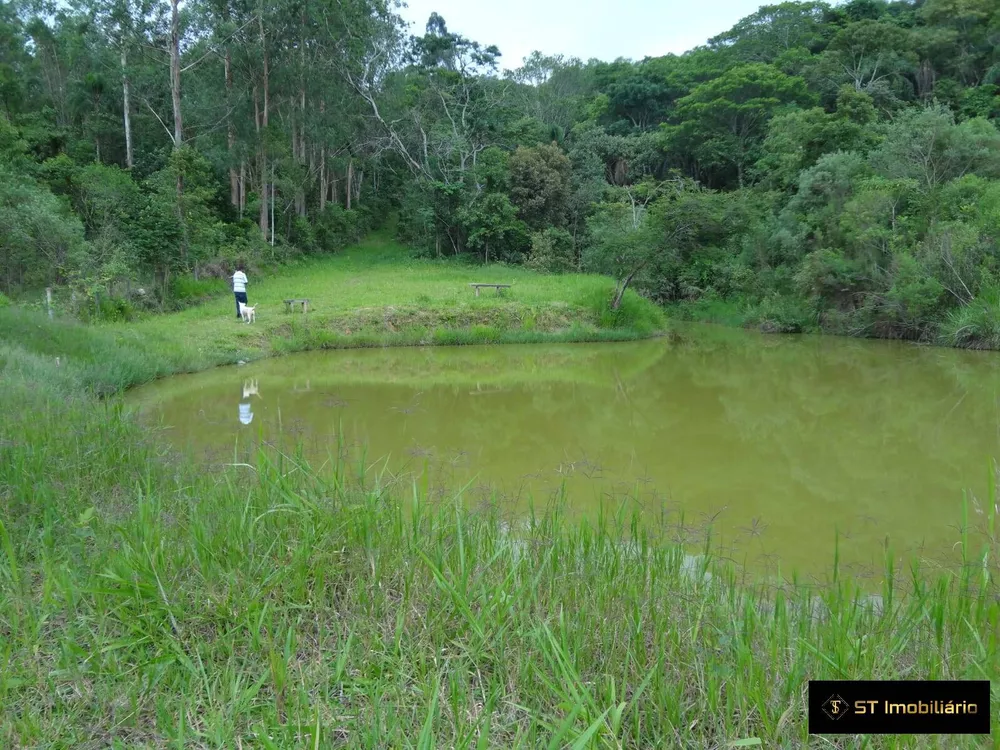 Fazenda à venda com 5 quartos, 15000m² - Foto 2