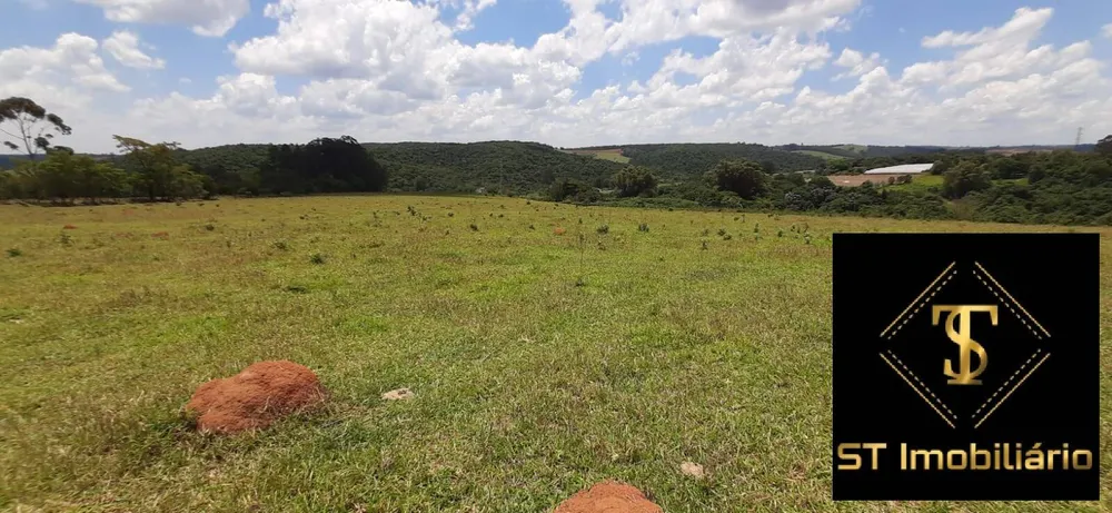 Sítio, 3 quartos, 13 hectares - Foto 10