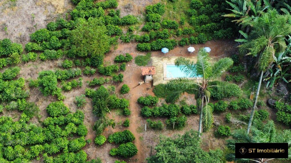 Terreno, 2 hectares - Foto 3