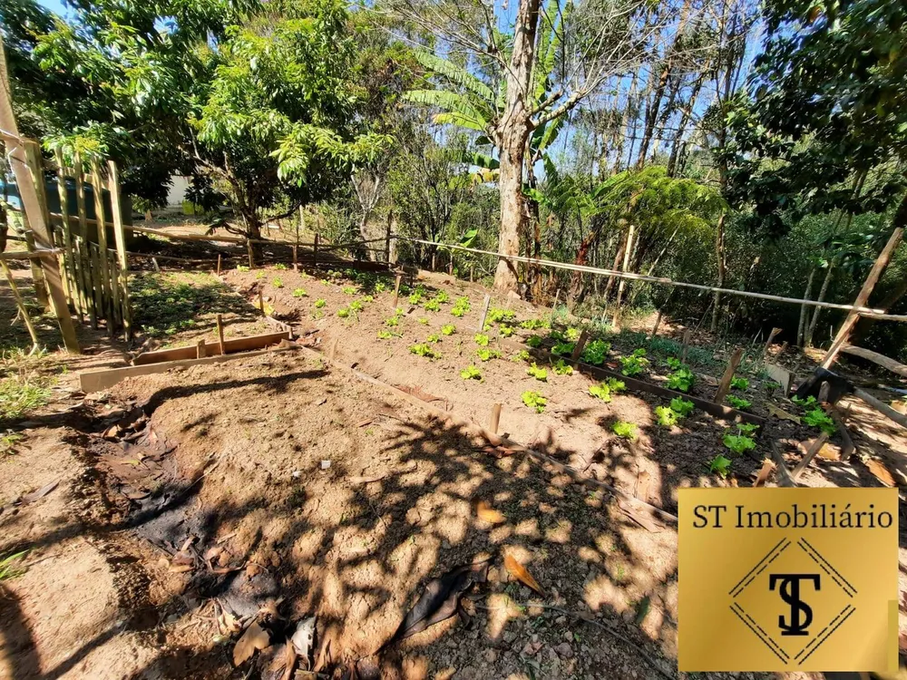 Sítio, 4 quartos, 3 hectares - Foto 3