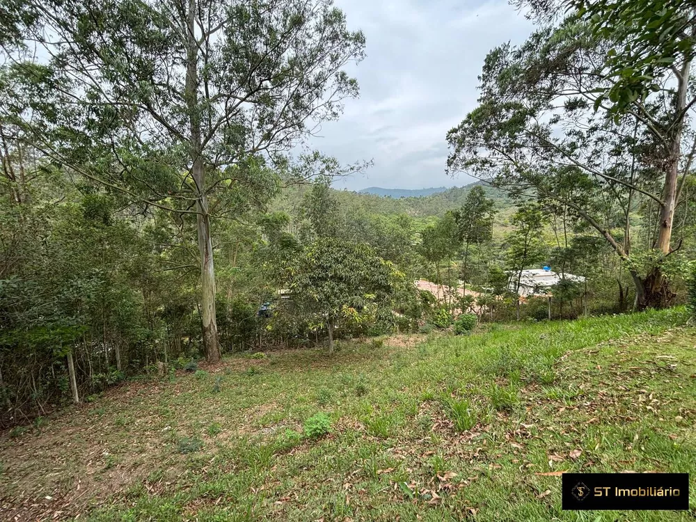 Fazenda à venda com 3 quartos, 250m² - Foto 2