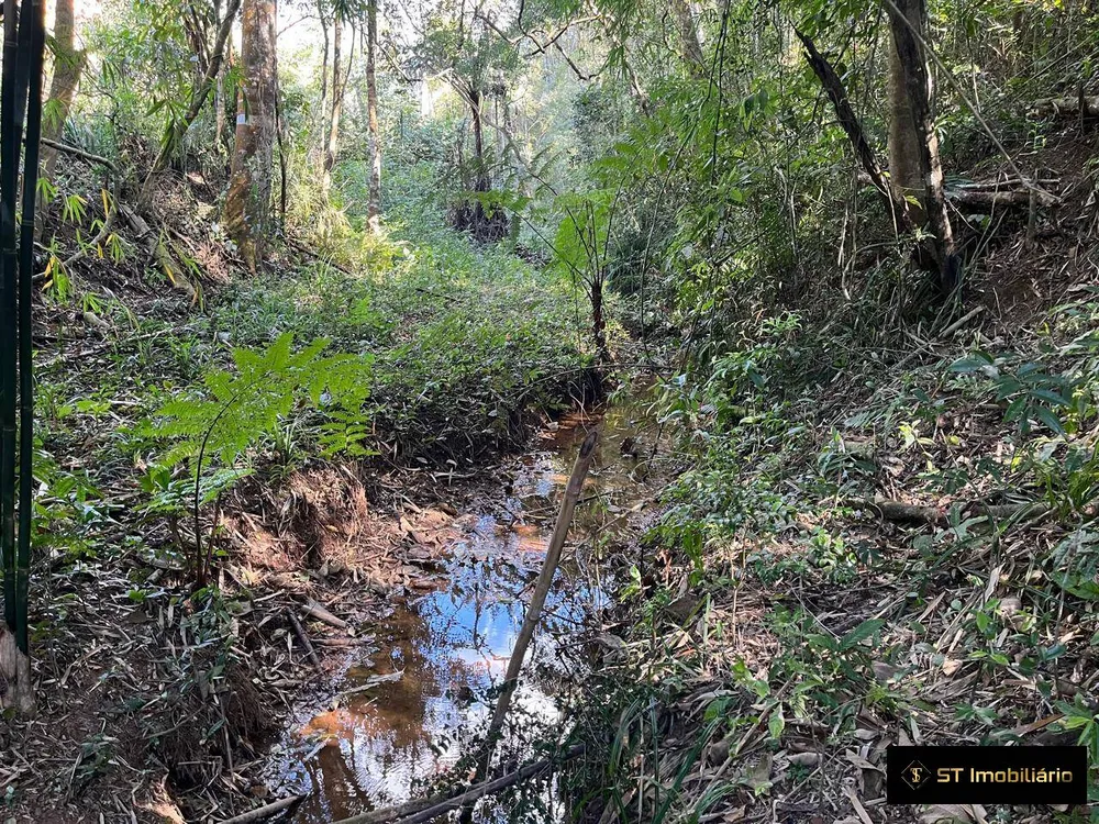 Terreno, 1 hectares - Foto 8