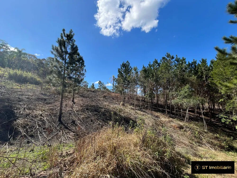 Terreno, 1 hectares - Foto 4